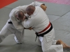 dsc_0524-1280x850