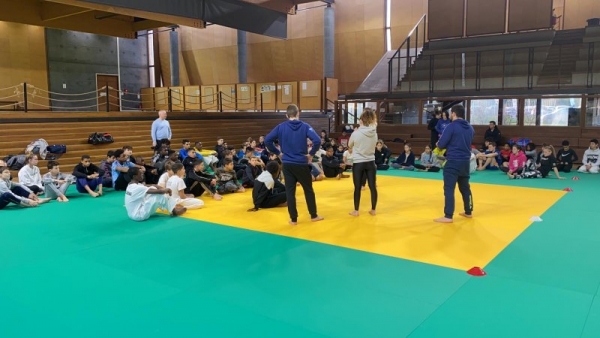 540c3c3f-855d-4b79-9e7d-e78ff1386be4