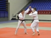 dsc_8555-1600x1200