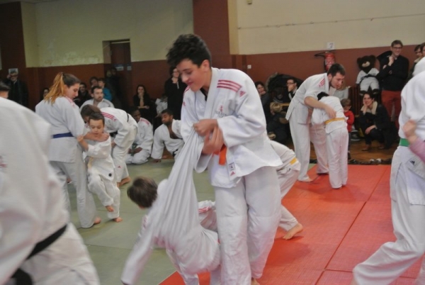 DSC_1701 (Copier)