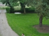 dsc_7086-1600x1200